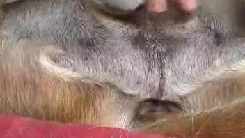Horny guy deeply penetrates bitch in filthy ways and cums inside