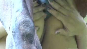 stallion with females xxx