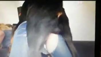Canine penetrates nude woman through her denim pants and ejaculates inside her