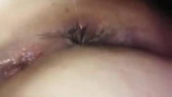 Intense homemade animal sex delivers wild ecstasies to nude guy