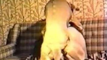 Sex-hungry dog eats a sexy babe's hairy cunt