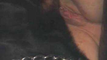 Horny females takes real dog dick up the pussy and ass