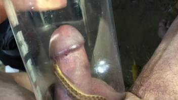 Snake wraps its body around his perfect penis