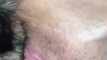 Aroused lady experiences full canine cock pounding her narrow pussy