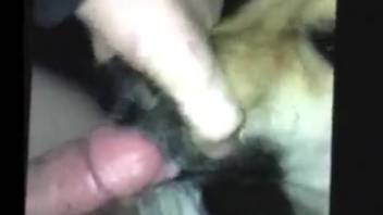Hot vixen passionately deepthroated by a dude