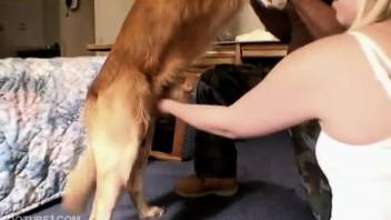 Fair-complexioned blondie banged by a hot pooch right here