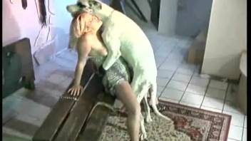 Blonde vixen offers her craving opening to a canine
