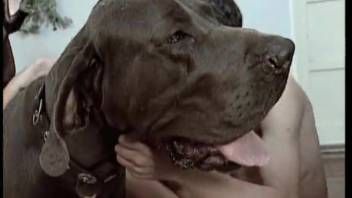 Japanese girl attempting to lure a aroused canine