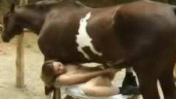 Hardcore horse fucking a screaming brunette slut