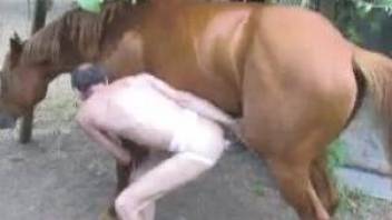 Old man fucking a big-dicked brown horse outdoors