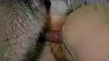 Vintage XXX video with close-up fucking and more