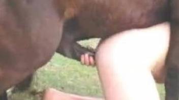 Close-up shots of a dude getting ass-blasted by a horse