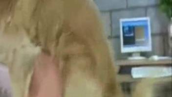 High-quality doggy style pounding with numerous lustful sluts