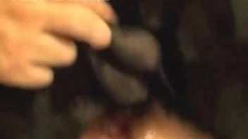 Blonde MILF wearing stockings gets banged doggy style