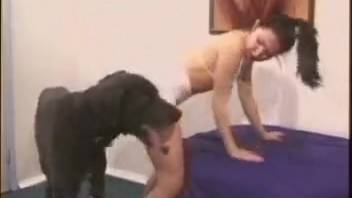Fantastic adult erotic film packed with abundant bestiality encounters