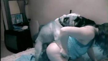 Thick BBW babe getting  fucked by a red-dicked dog