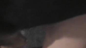 Masked blonde double-penetrated by a canine and a man