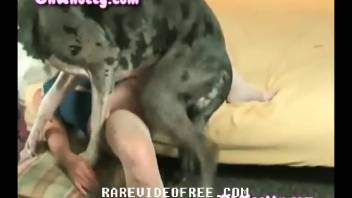 Hardcore intercourse video with a hot mature woman and her naughty pet