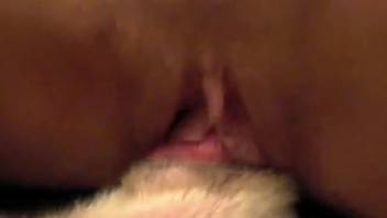 Ginger slut mounting a canine's hard-on on the sofa