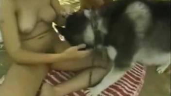 Voluptuous booty spouse coerced into intercourse with the canine as well