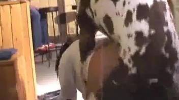 Hot female fucked with bestiality by horny dog with strong cock